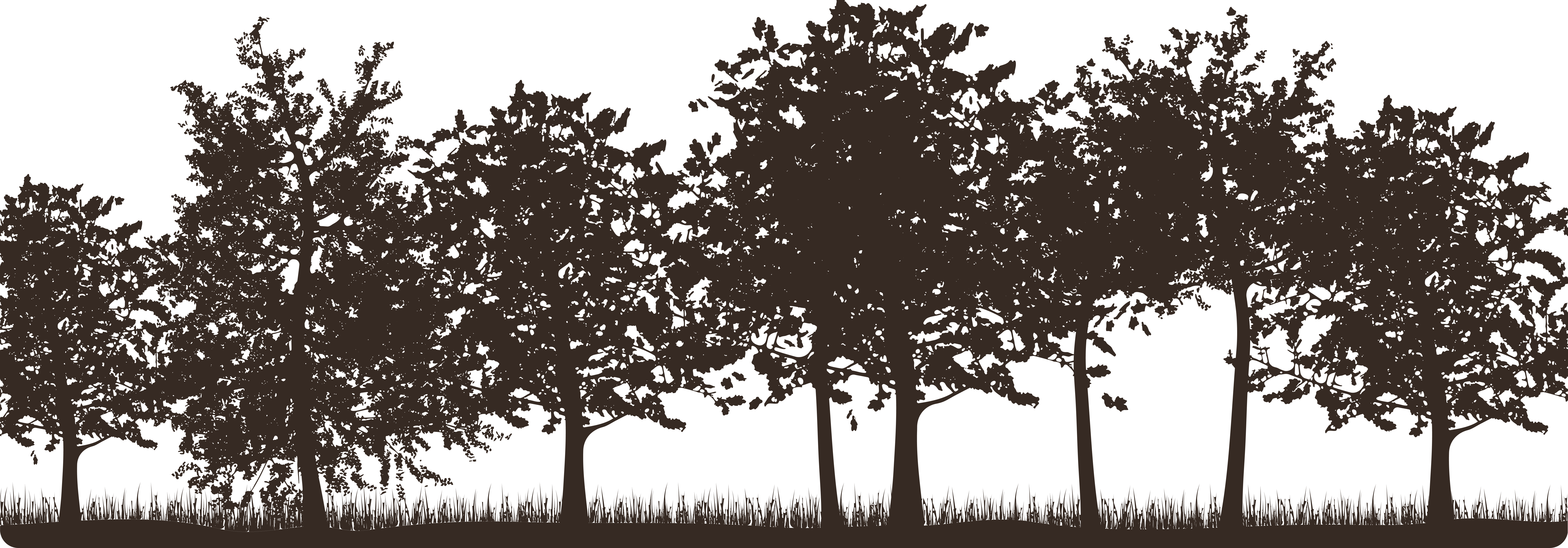  Image 6_other_image_1791206113786116153.png Over ons | Karakterauto.
